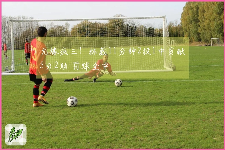 无缘疯三！林葳11分钟2投1中贡献5分2助 罚球全中